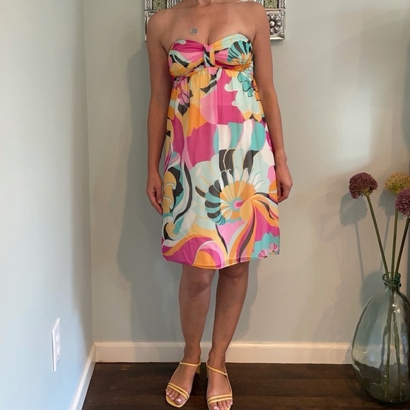 Shoshanna Anthropologie Silk Chiffon Dress - Picture 12 of 12